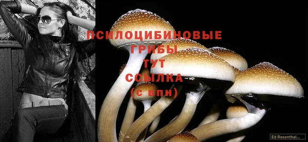 a pvp Заволжье