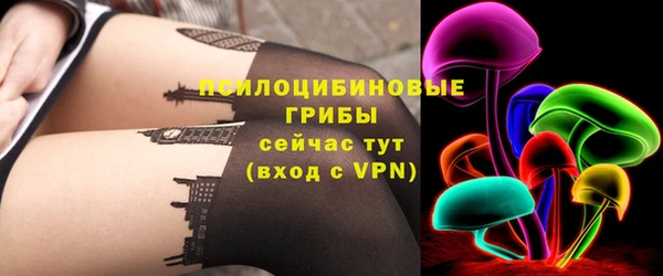 mdpv Богородицк