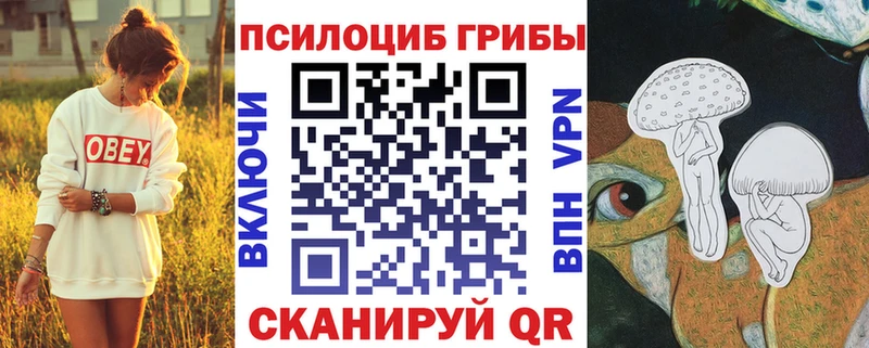 OMG ONION Валуйки Псилоцибиновые грибы MAGIC MUSHROOMS