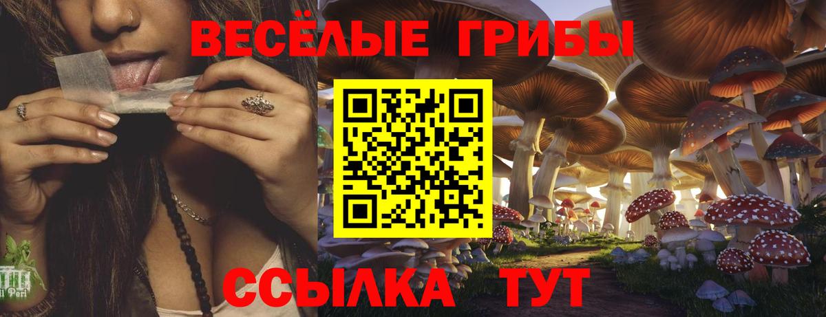 Псилоцибиновые грибы Magic Shrooms  Вход с VPN  Валуйки 